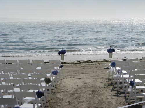 Wedding Wedding