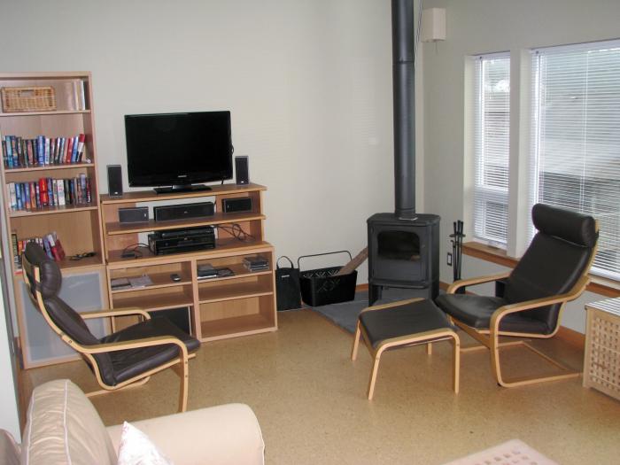 living room ocean view wood stove