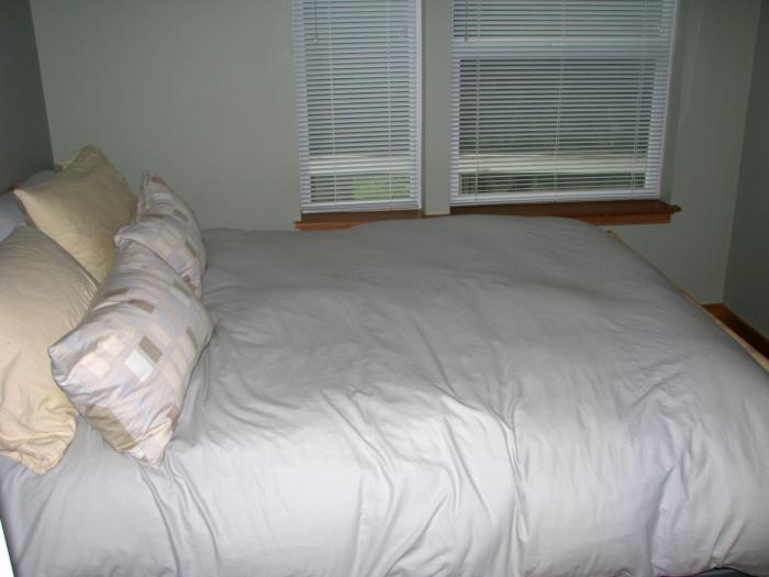 queen pillow top bed